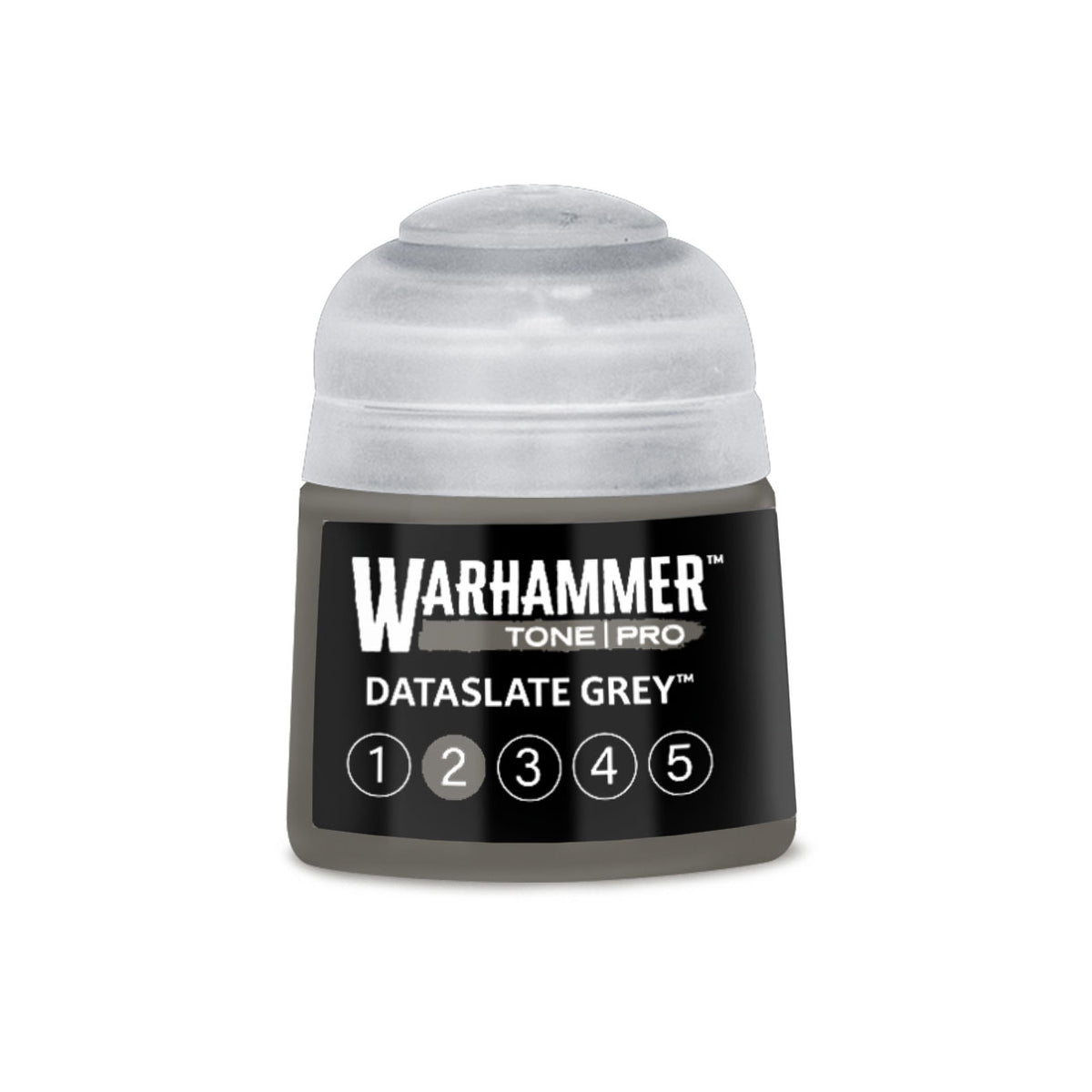 Dataslate Grey 2 12ml (Tone Pro)