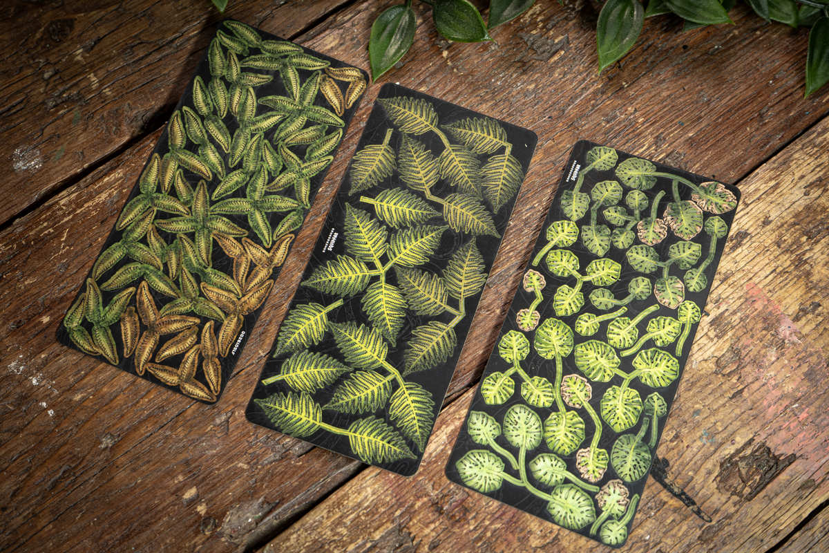 
                  
                    Squidmar: Plants N' Tufts - Jungle (Release 22/10)
                  
                