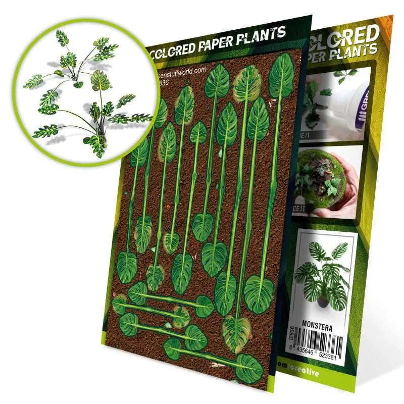 Colored Paper Plants - Monstera