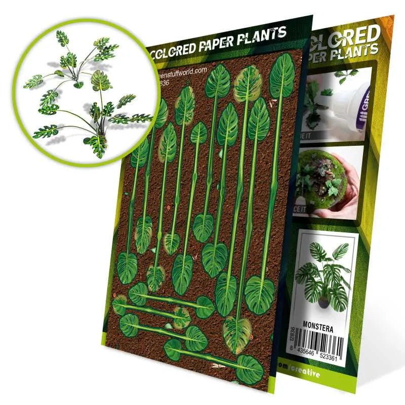 Colored Paper Plants - Monstera