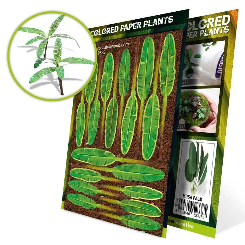 Colored Paper Plants - Musa Trees