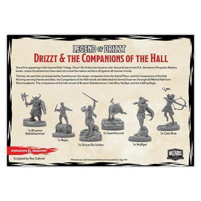 Drizzt & the Companions of the Hall - ZZGames.dk