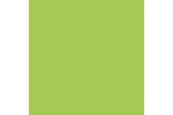 Fluorescent: Green (107) - ZZGames.dk