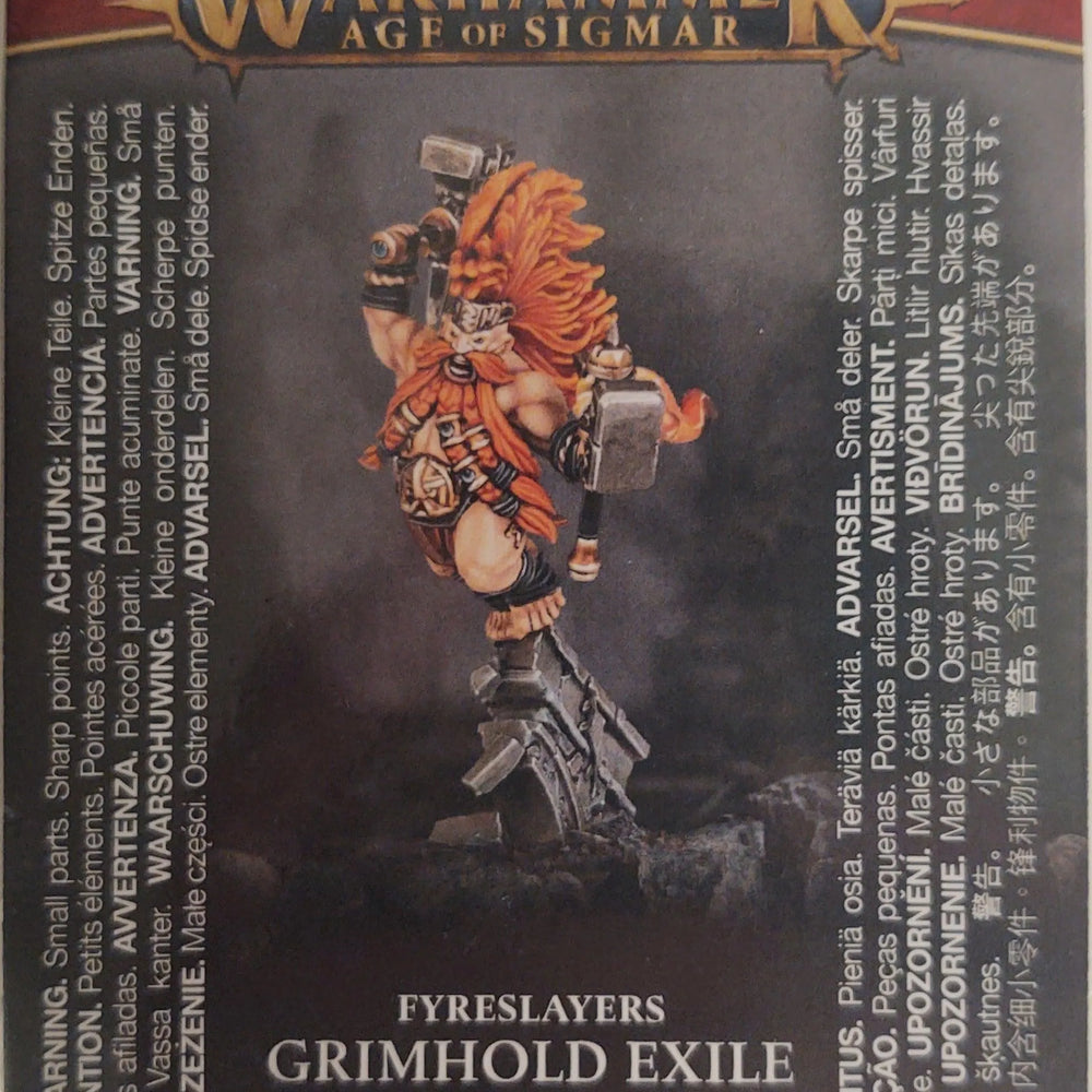 GRIMHOLD EXILE - ZZGames.dk