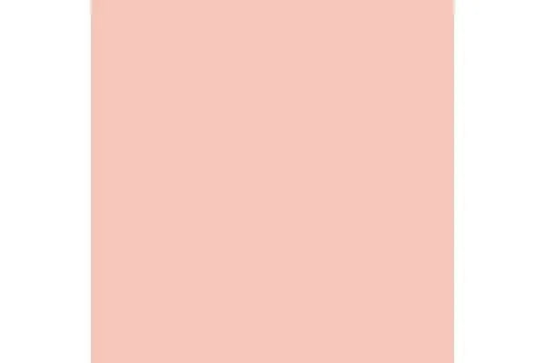 Pale Flesh (5) - ZZGames.dk