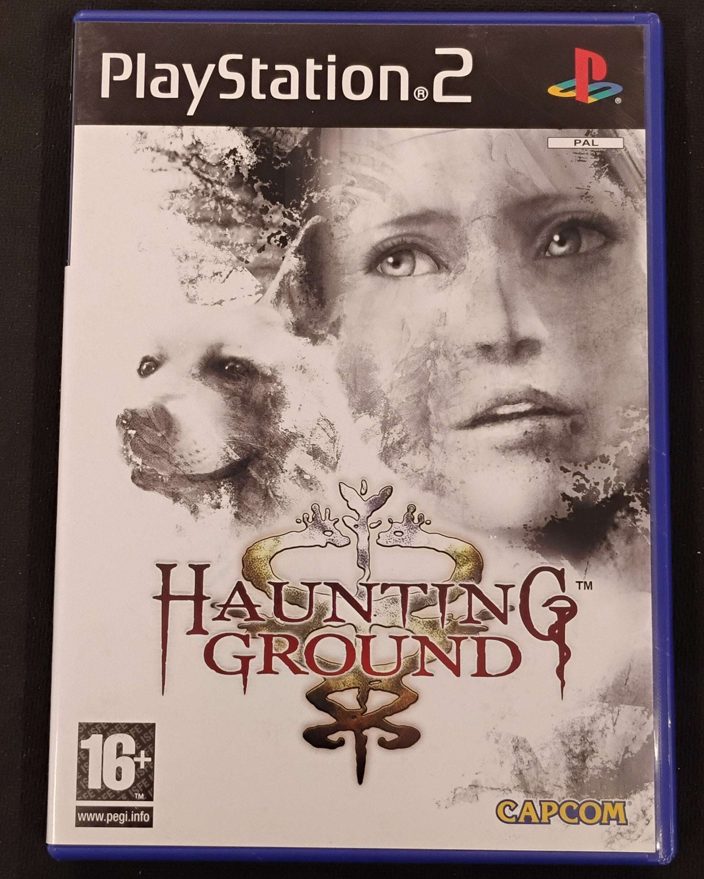 Haunting Ground