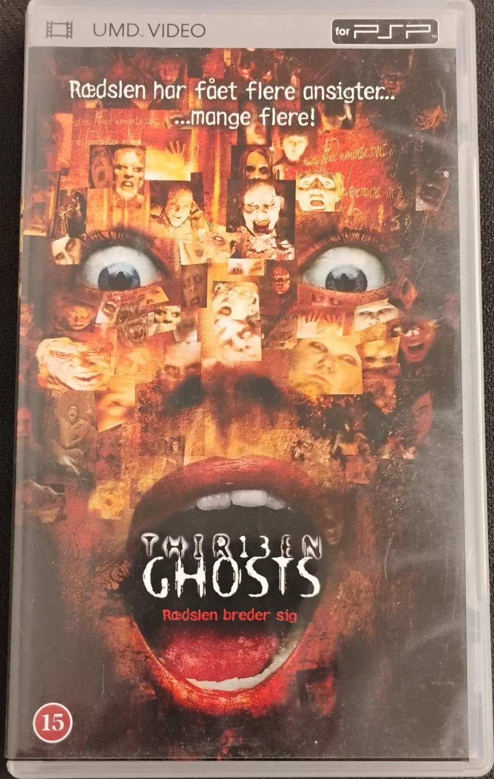 Thirteen Ghosts (UMD Video)