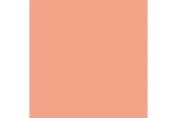 Rosy Flesh (6) - ZZGames.dk