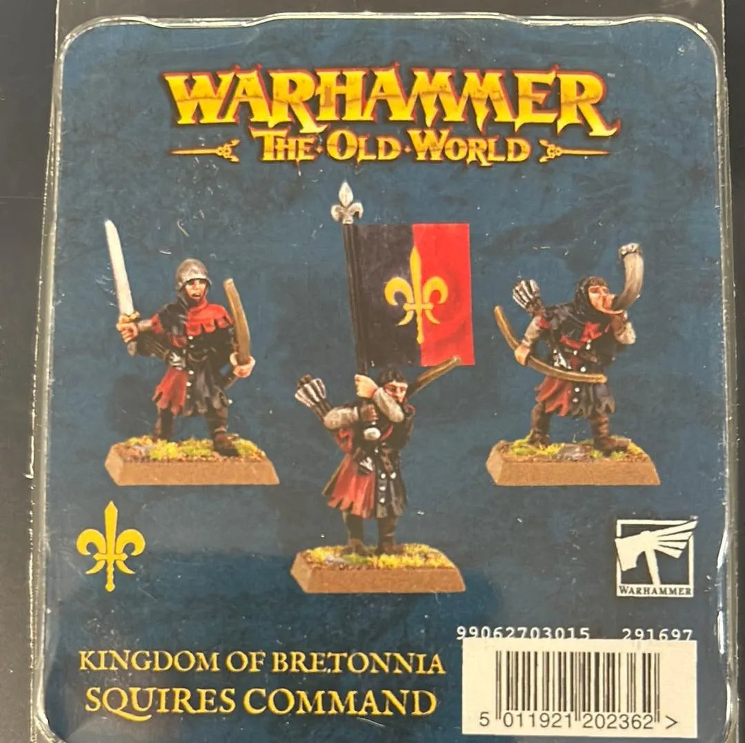 Warhammer: The Old World - Squires Command - ZZGames.dk