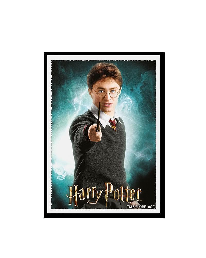Wizarding World Harry Potter Art Matte Standard (63x88mm) - ZZGames.dk