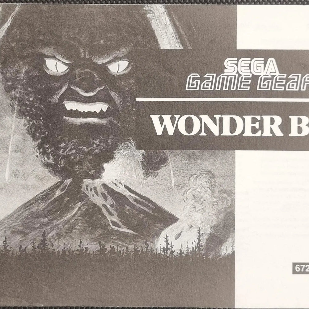Wonder Boy manual - ZZGames.dk