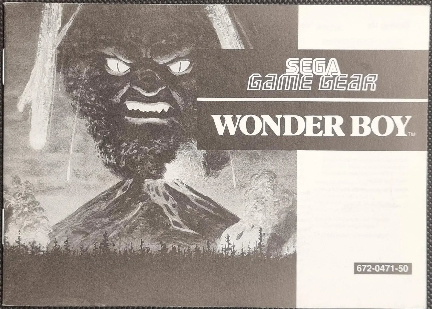 Wonder Boy manual - ZZGames.dk